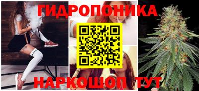 дмт Тула
