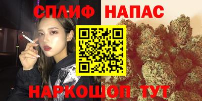 дмт Тула