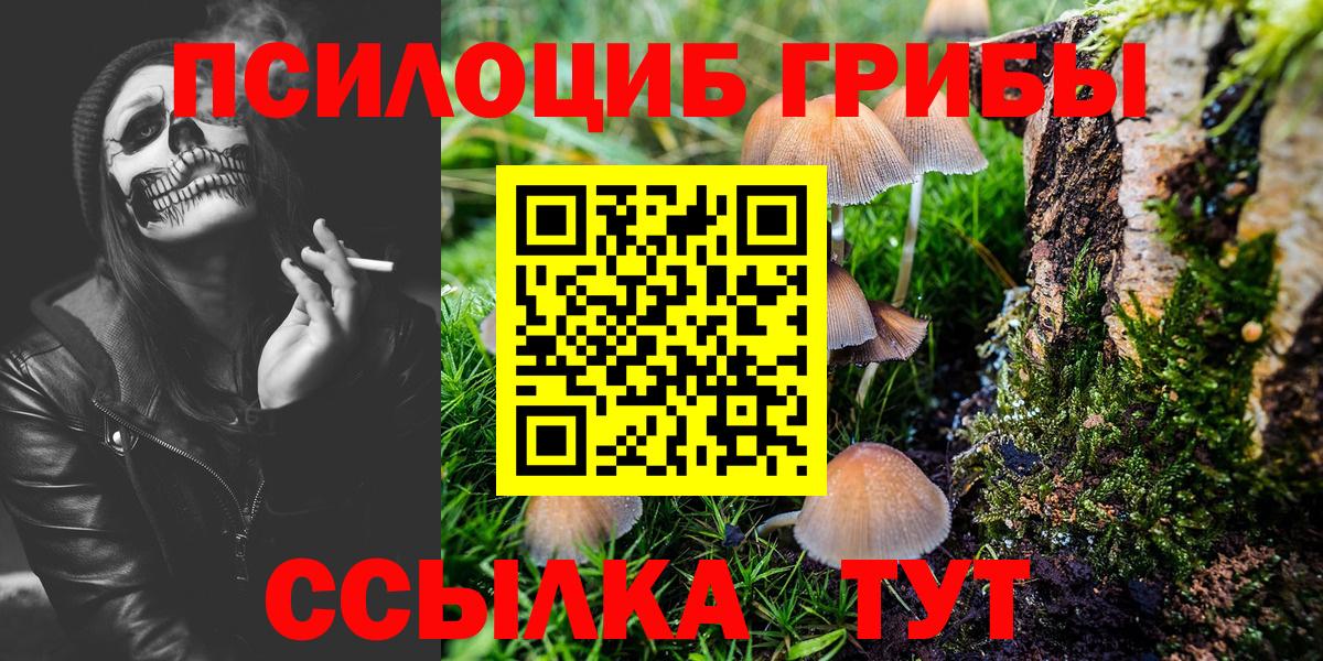 Псилоцибиновые грибы GOLDEN TEACHER Краснознаменск