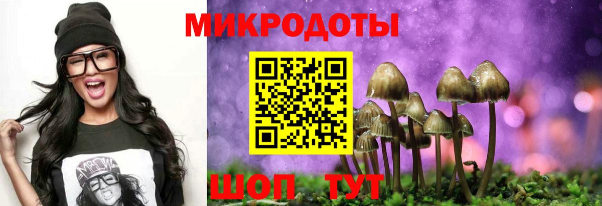 Псилоцибиновые грибы GOLDEN TEACHER  Вход с VPN  сколько стоит  Краснознаменск 